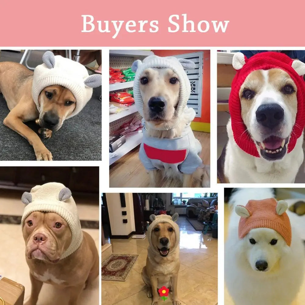 Dog ear noise protection hat