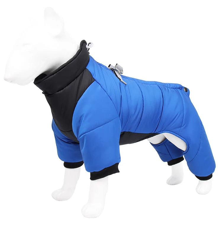 Dog winter coat