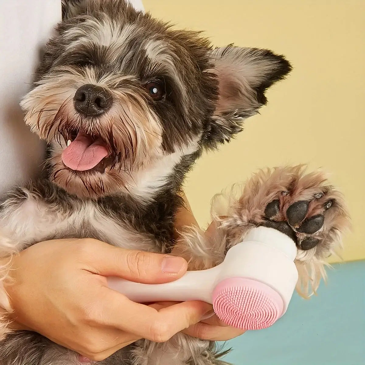 Paw cleaner &amp; massage