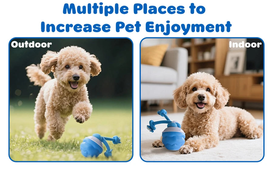 Intelligent toy ball